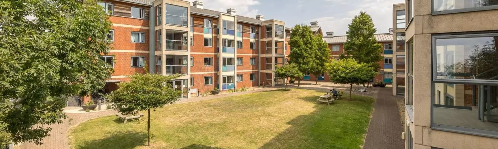 Blocks of flats, courtyard, trees, grass
