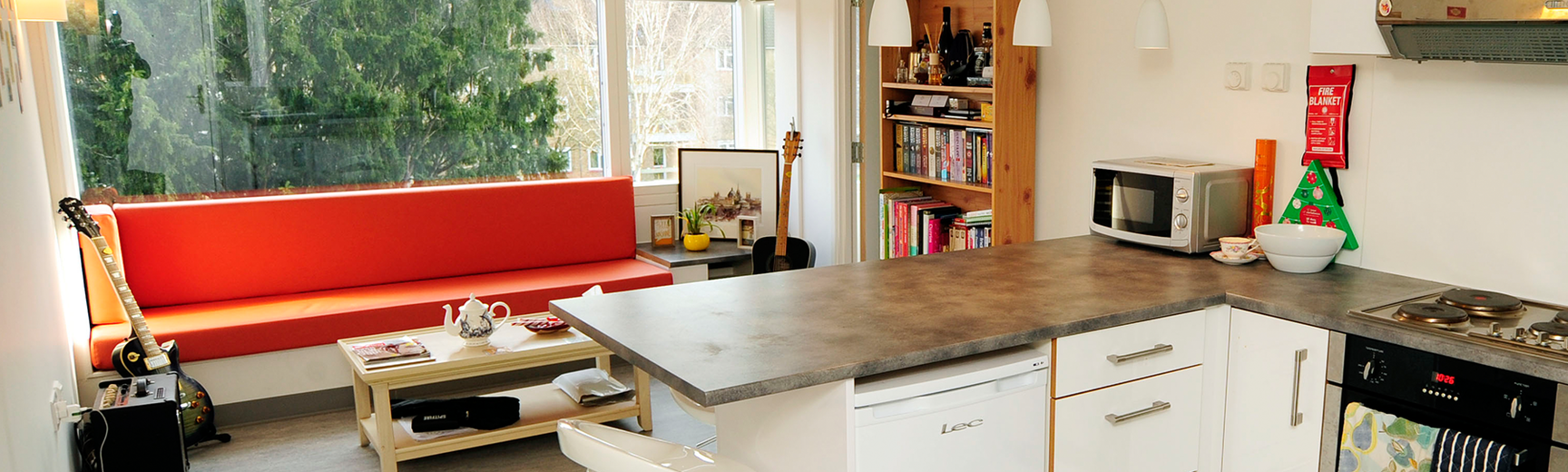 Kitchen, living area, accomodation