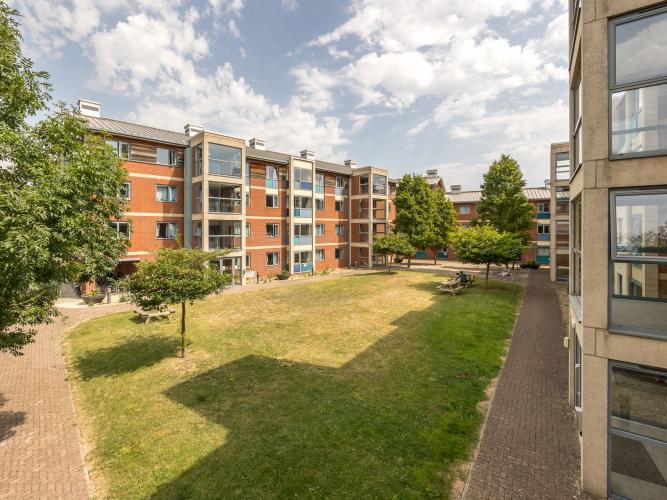 cm phase 2 exterior view