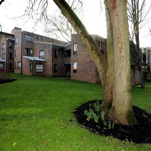 Garden at Alan Bullock Close
